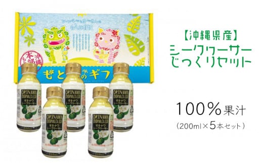 シークヮーサー じっくりセット 沖縄 おきなわ 本部町 ドリンク 飲料 シークワーサー 沖縄県産 ジュース おすすめ 人気 贈答 ギフト プレゼント ふるさと納税 美ら海 敬老の日 父の日 母の