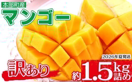 【2026年夏発送】もとぶ町産マンゴー(訳あり)約1.5kg詰め 先行予約 数量限定 期間限定 果物 フルーツ 南国 プレゼント お土産 おみやげ ギフト おすすめ 沖縄 おきなわ 青果 デザート くだ