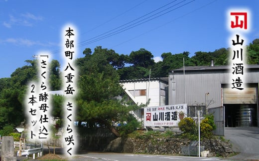 本部町八重岳 さくら咲く 「さくら酵母仕込」 2本セット沖縄県本部町27000酒・アルコールその他 酒・アルコール