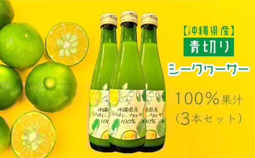 沖縄県産青切りシークヮーサー100%果汁(3本セット) 沖縄県 沖縄 青果 果実 フレッシュ 瓶 シークァーサー 本部町 本部 ギフト プレゼント 贈答 贈り物 おすすめ 人気 敬老の日 お土産 健