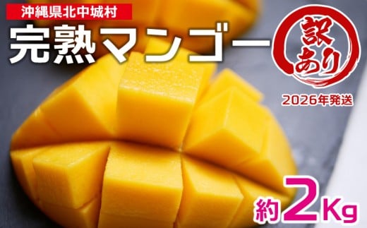 【2026年発送】訳あり品!沖縄県産 完熟マンゴー 約2kg 沖縄県産 先行予約 訳あり 訳アリ フルーツ 果物 くだもの アップルマンゴー アーウィン種 冷蔵 JA 家庭用 お試し 美味しい 沖縄 生