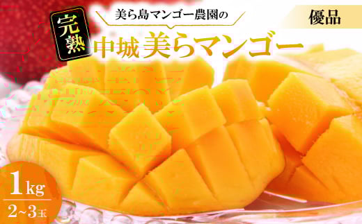 2026N6珇E瓇}S[_̊n}S[Di1kg(2`3)y1672801zꌧ鑺12000ʕEt[c}S[EpCibv