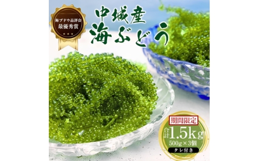 <沖縄から産地直送>県産海ぶどう品評会最優秀賞受賞!ちゅら海ぶどう1.5kg(500g×3箱)【1674922】沖縄県中城村25000魚介・海産物のり・海藻