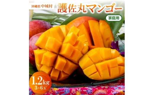 <2026年6月下旬から順次発送・訳あり>護佐丸マンゴー1.2kg(3〜6玉)【1676053】沖縄県中城村14000果物・フルーツマンゴー・パイナップル
