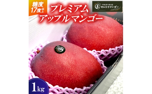 <2026年6月下旬から順次発送>マルトウマンゴーのプレミアム アップルマンゴー1kg【1670278】沖縄県中城村22000果物・フルーツマンゴー・パイナップル