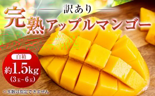 <2026年6月中旬から順次発送・訳あり>完熟アップルマンゴー約1.5kg(3玉〜6玉)【1390899】沖縄県与那原町12000果物・フルーツマンゴー・パイナップル