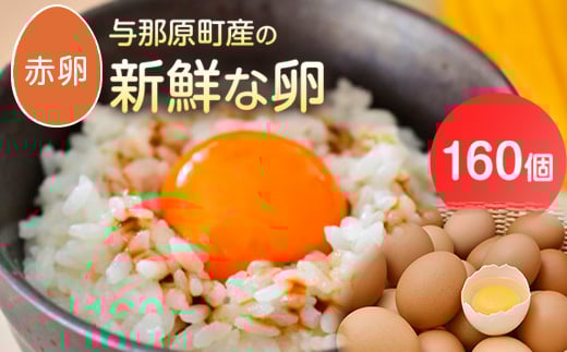 与那原町産の新鮮な卵160個(赤卵)_ 生卵 たまご 玉子 鶏卵 まとめ買い 卵かけご飯 朝ごはん 玉子焼き 人気 美味しい 【1408738】沖縄県与那原町17000卵・乳製品卵(鶏、烏骨鶏等)