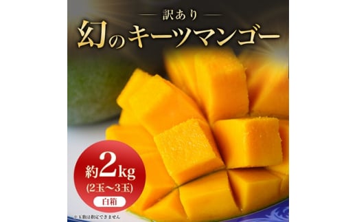 <2026年8月から順次発送・訳あり>JAおきなわ厳選!幻のキーツマンゴー約2kg(2〜3玉)【1439153】沖縄県与那原町15000果物・フルーツマンゴー・パイナップル
