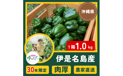 【30箱限定】伊是名島の若手農家が生産するもぎたてピーマン「ゆ〜ぴ〜」1kg沖縄県伊是名村7000野菜・きのこその他 野菜