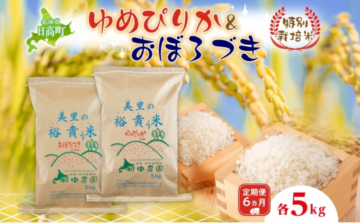 6ヵ月定期便 田中農園 令和6年度 ゆめぴりか&おぼろづき 各5kg 食べ比べ セット 米 こめ コメ 白米 白飯 ご飯 ごはん ふっくら つややか 豊かな甘み ほどよい粘り 特別栽培 日高町北海道日高
