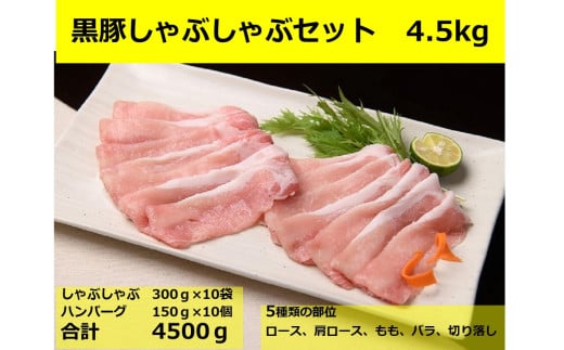 kC ؂ԂBZbg3kgEno[O10×150g v4.5kg Ⓚ  e ؓ ؖkCrc55000ZbgE؁EHHiJ[EV`[