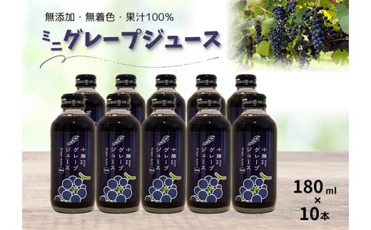 北海道 ぶどうミニジュース10本 ストレート 果汁100% ぶどう 葡萄 ブドウ 無添加北海道池田町15000お茶・飲料果汁・野菜飲料