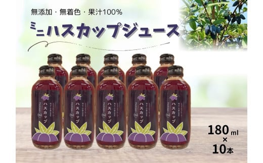 北海道 ハスカップミニジュース 10本 180ml×10本 無添加 ストレート ジュース 果汁100%北海道池田町15000お茶・飲料果汁・野菜飲料