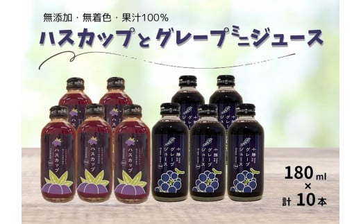 kC ԂǂEnXJbv~jW[X10{ Xg[g ʏ`100 Ԃǂ  uhE nXJbv YkCrc15000Eʏ`E؈
