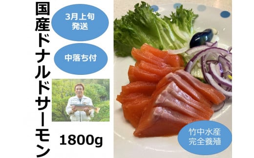【3月上旬発送】国産ドナルドサーモン(生食用) 1800g 中落ち付 小分け ふるさと納税 サーモン 刺身 ふるさと納税 鮭 冷凍 さけ サケ 海鮮 魚 生食サーモン北海道池田町28000魚介・海産物鮮魚