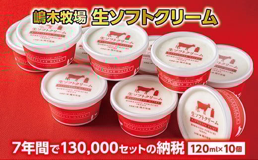 北海道 牧場の生ソフトクリーム 120ml×10個 アイスクリーム アイス スイーツ 池田町 ジェラート ギフト ソフトクリーム 国産 セット北海道池田町11000菓子・スイーツアイス・ジェラート