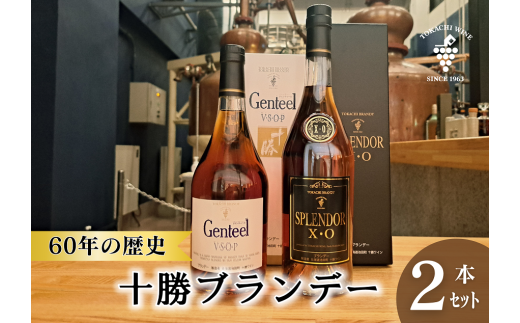 高級十勝ブランデー2本セット 計1.4L  ブランデー XO VSOP 高級 15年熟成  各1本700ml×2本 アルコール40% ジェンティール スプレンダー 60年の歴史北海道池田町41200酒・アルコールウイスキー・洋酒