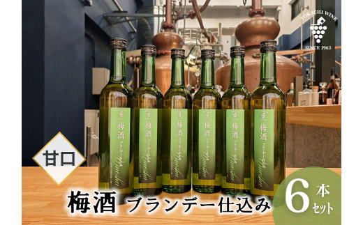~ uf[d 500ml×6{ ~ uf[ Ì  n t`I[NMkCrc31900EAR[ECXL[EmEL[