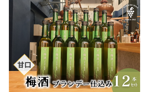 梅酒 ブランデー仕込み 500ml×12本 梅酒 ブランデー 甘口 原酒 熟成 フレンチオーク樽北海道池田町63700酒・アルコールウイスキー・洋酒・リキュール