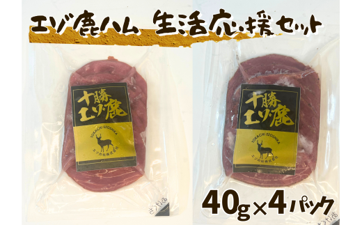 kC \G]n XCX160gi40g×2×2jZbg Ⓚ  WrG wV[ VJ  ؂邾 n pXg~n ^pN ؃g 쐶kCrc11000