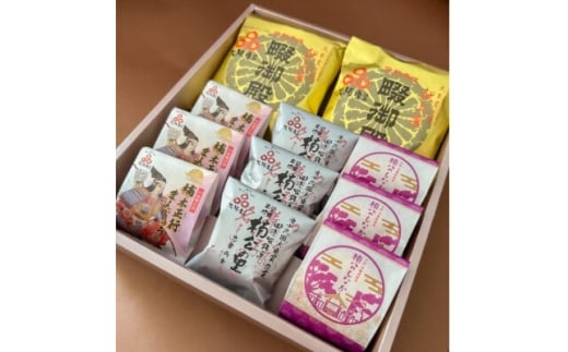 栄久堂吉宗 四條畷銘菓詰合せ6(畷御殿2個 楠公もなか3個 楠公の里3個 楠木正行まんじゅう3個)【1653586】大阪府四條畷市13000菓子・スイーツその他 和菓子