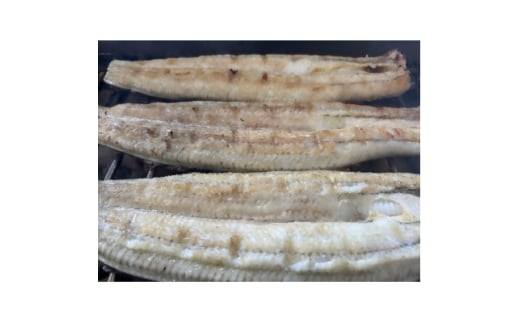 YȂTCY140g -170g@Y@10 YΊĂ(^t)y1659344z{ls136000ECYȂ