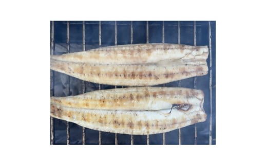 <国産うなぎ>大サイズ140g -170g 三河一色産 2尾セット 炭火白焼き【1659391】大阪府四條畷市25000魚介・海産物うなぎ
