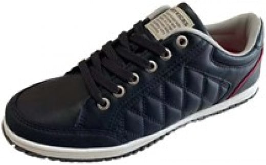 ampJWAXj[J[@JK 1312iubN / 29.0pjޗǌ쐼15000ߗށEiEH|iCE