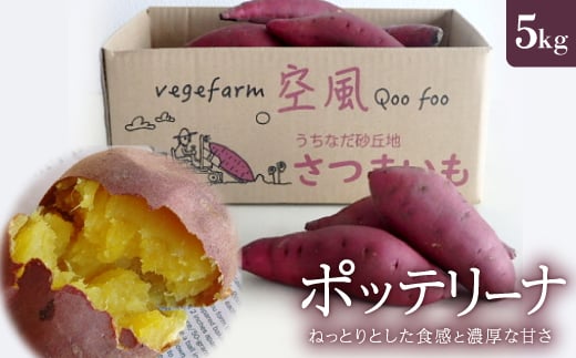 ねっとりとした食感と濃厚な甘さ さつまいも ポッテリーナ(5kg)【1598273】石川県内灘町12000野菜・きのこじゃがいも・イモ類