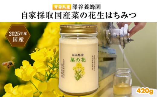 yXlYzVJ{I@ƍ̎@Y؂̉Ԍ݂͂420g (2025NY)MIXl12000ZbgE؁EHHiWE݂͂