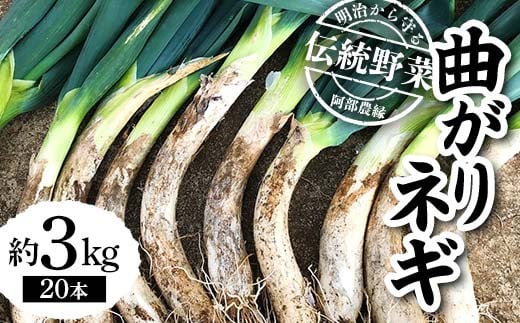 明治から守る伝統野菜「曲がりネギ」約3kg F7X-0075福島県須賀川市12000野菜・きのこ玉ねぎ・ねぎ
