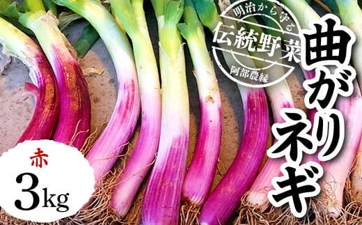 明治から守る伝統野菜「曲がりネギ 赤」約3kg F7X-0074福島県須賀川市15000野菜・きのこ玉ねぎ・ねぎ