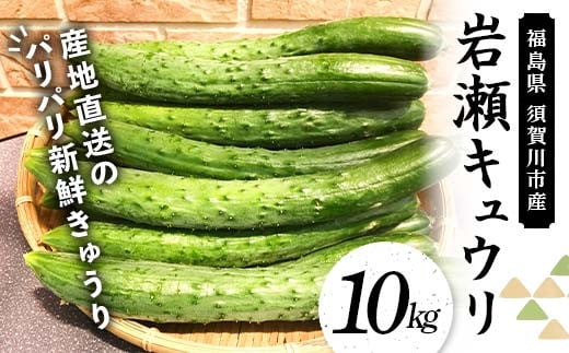 福島県須賀川市産 岩瀬キュウリ10kg 産地直送のパリパリ新鮮きゅうり F7X-0132福島県須賀川市29000野菜・きのこその他 野菜