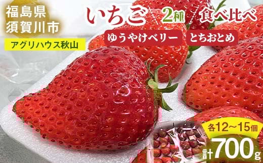 <先行予約> いちご <アグリハウス秋山> 食べ比べ「ゆうやけベリー」「とちおとめ」 各12〜15個 F7X-0215福島県須賀川市21000果物・フルーツいちご