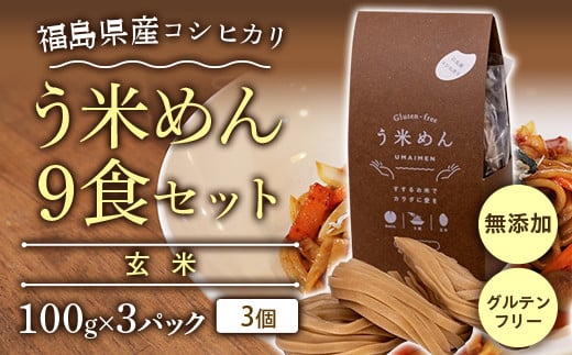 コシヒカリ玄米 う米めん 9食セット 無添加 グルテンフリー F7X-0212福島県須賀川市10000麺その他 麺
