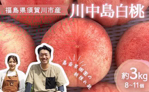 st Í։ʎ̓u쒆v3kgi8`11j    fU[g t[c ʕ  ʎ Hi F7X-0141{s13000ʕEt[cE