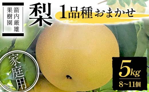 梨 家庭用 1品種おまかせ 5kg 8〜11個 <箭内厳雄果樹園> なし ナシ 梨 デザート フルーツ 果物 くだもの F7X-0283福島県須賀川市23000果物・フルーツりんご・梨