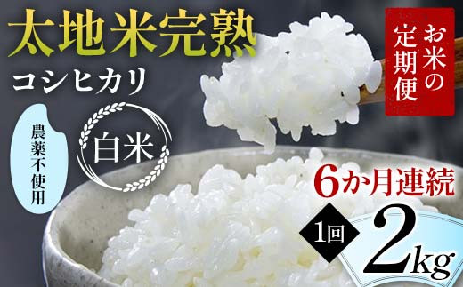 Ă̒ _sgp nĊn yЂz 2kg×6A uh    lC F7X-0397{s130000āEp