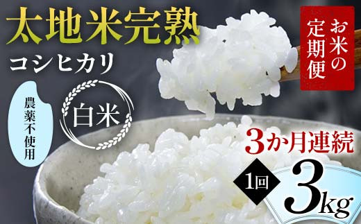 お米の定期便 農薬不使用米 太地米完熟 【こしひかり】 白米3kg×3か月連続 ブランド米 お米 精米 白米 人気 F7X-0404福島県須賀川市94000米・パン白米
