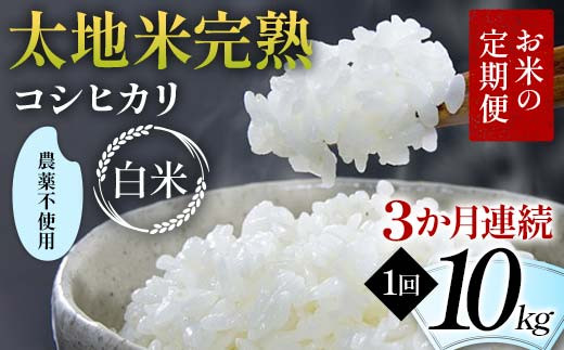 Ă̒ _sgp nĊn yЂz 10kg×3A uh    lC F7X-0420{s312000āEp