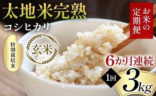 Ă̒ ʍ͔| nĊn yЂz 3kg×6A uh  lC F7X-0377{s66000āEpāEGāEāE