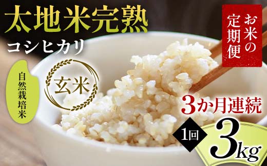 お米の定期便 自然栽培米 太地米完熟 【こしひかり】 玄米3kg×3か月連続 ブランド米 お米 人気 F7X-0440福島県須賀川市157000米・パン玄米・雑穀米・もち米・餅