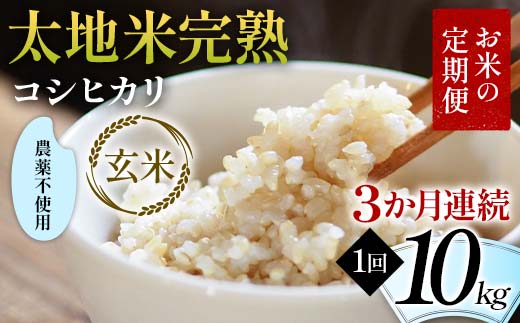 お米の定期便 農薬不使用米 太地米完熟 【こしひかり】 玄米10kg×3か月連続 ブランド米 お米 人気 F7X-0424福島県須賀川市312000米・パン玄米・雑穀米・もち米・餅