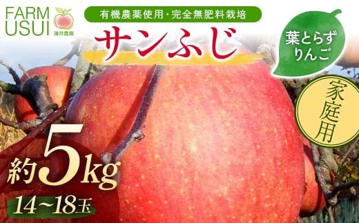 家庭用 有機農薬使用・完全無肥料栽培「サンふじ」葉とらずりんご約5kg(14〜18玉) F7X-0471福島県須賀川市16000果物・フルーツりんご・梨