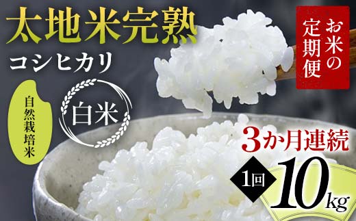 Ă̒ R͔| nĊn yЂz 10kg×3A uh    lC F7X-0452{s520000āEp