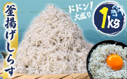 g 炷  1kg  ( 250g x4   ) VX g 炷 \㗢Y 炷 Y 炷 VN Ⓚ   Y  C̍K C   Mtg v[g  LO