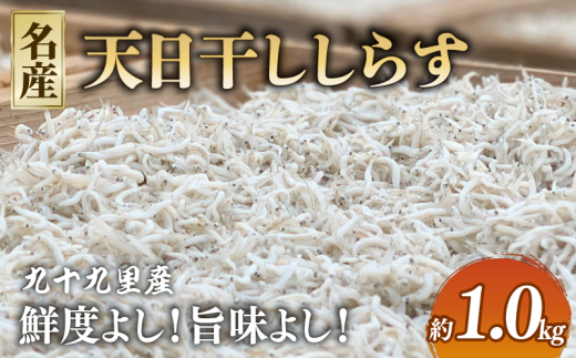 V 炷 1kg (250gx4P) 炷 VX V炷 炷 VX C̍K  芘@    N CN Hi 1kg lC   tsY Ⓚ  Mtg v