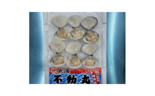 ͂܂ \㗢Y  Ⓚ 1.2kgi300g×4܁jn}O Ⓚ͂܂ uԗⓀ }Ⓚ VR     L CN  L  o`  X` O^ \㗢l  j j ЂȂ܂ 