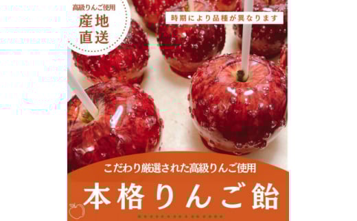 本格 りんご飴 5個 セット 高級 フルーツ 果物 贈答 ギフト プレゼント こだわり リンゴ 林檎 スイーツ お菓子 菓子 おやつ おつまみ 晩酌 デザート 飴 フルーツ飴 林檎飴  本格りんご飴 厳選