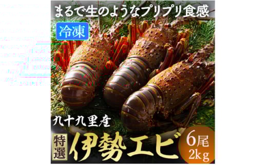 伊勢海老 リキッド凍結伊勢海老 刺身用 6尾 約2kg 九十九里 新鮮 刺し身 刺身 さしみ 真空 冷凍  旨味 甘み 鮮度 美味しい 贅沢 ご褒美 豪華 ギフト プレゼント 贈答  贈答用 記念日 家族 友人